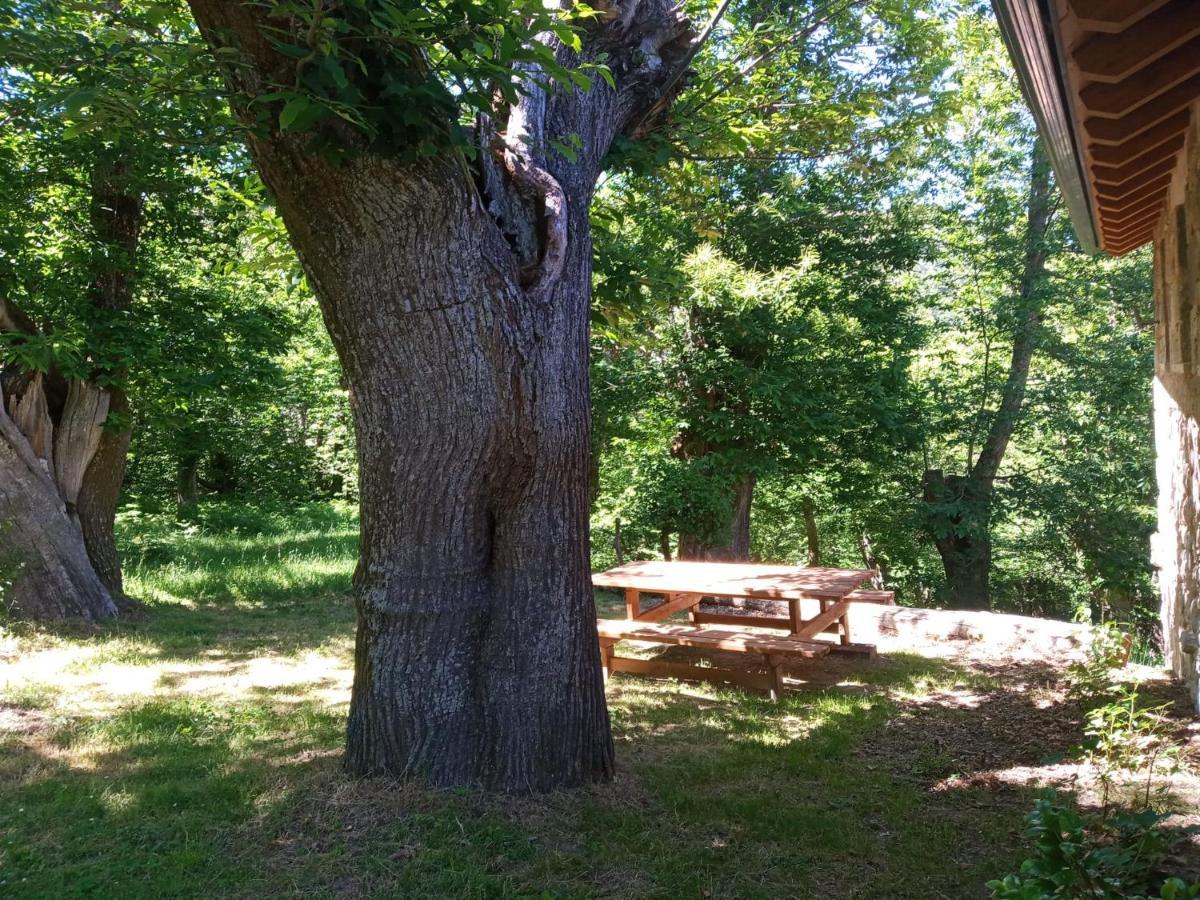 Willa Casa De Anama Entrecinsa Zewnętrze zdjęcie